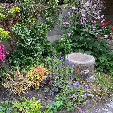 Herb Cottage Bradford-On-Avon Ngoại thất bức ảnh