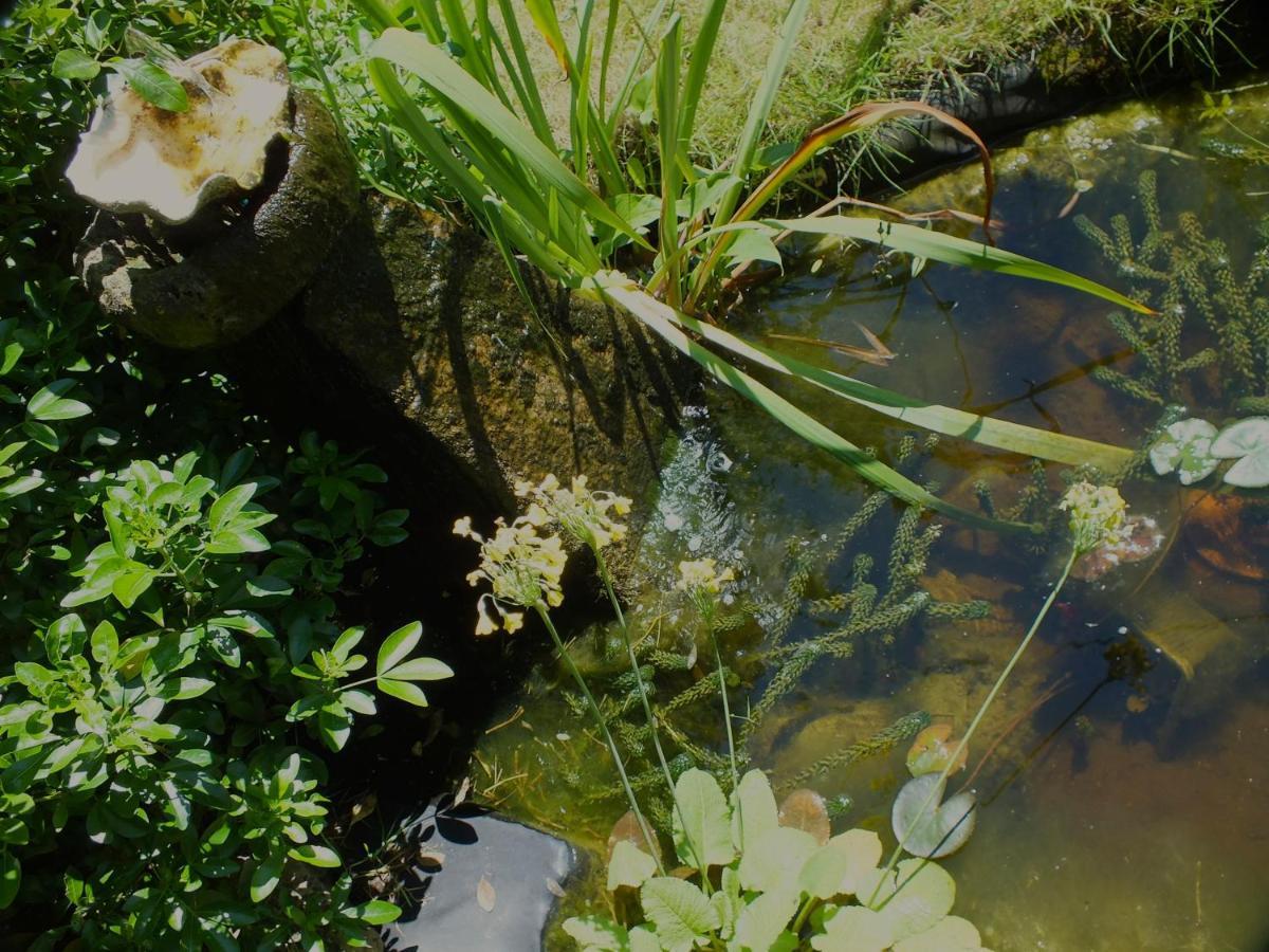 Herb Cottage Bradford-On-Avon Ngoại thất bức ảnh